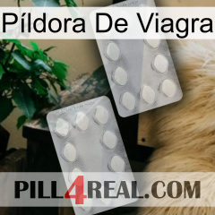 Píldora De Viagra 17